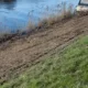 The Environment Agency are clearing riverside scrub including thick bramble bushes along a two-mile length of river between Queen Adelaide and Littleport. PHOTO: David Jermy