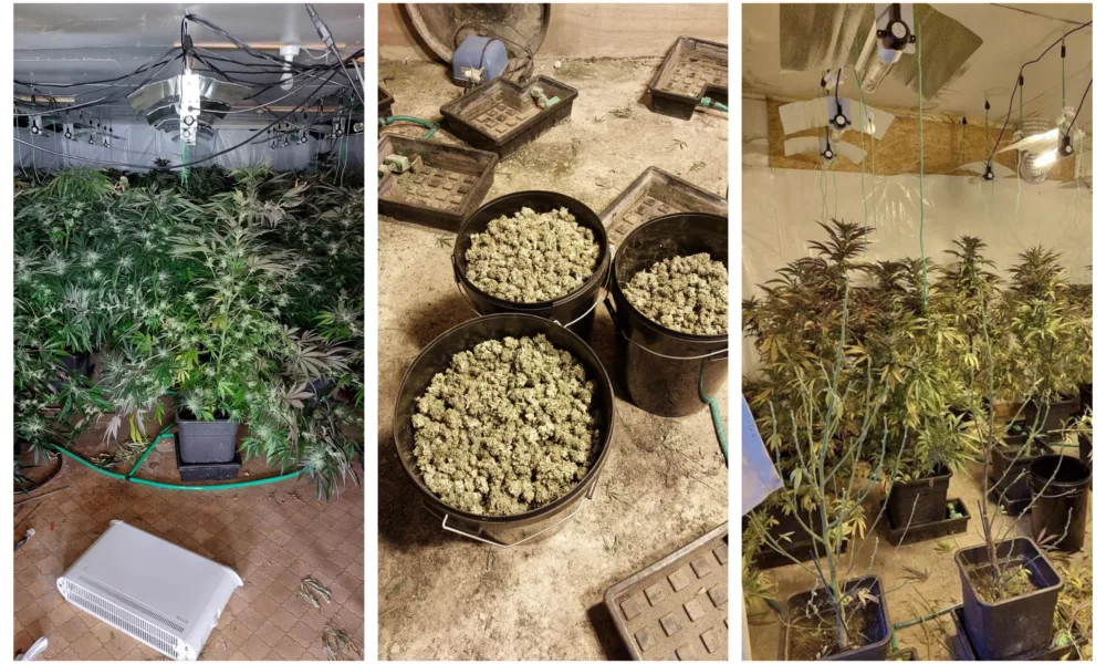 “Two men have been arrested and bailed after police found a cannabis factory on the Norfolk/Cambridgeshire border yesterday afternoon (3 May 2023),” said a spokesperson for Norfolk Police.