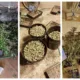 “Two men have been arrested and bailed after police found a cannabis factory on the Norfolk/Cambridgeshire border yesterday afternoon (3 May 2023),” said a spokesperson for Norfolk Police.