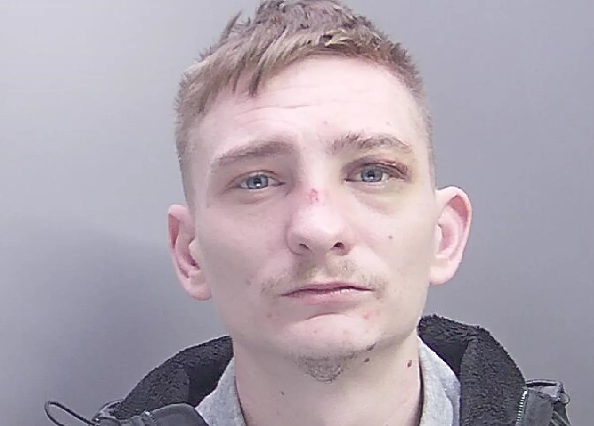 Dion Aldred, of Birchtree Avenue, Peterborough, was arrested after his girlfriend called police on 23 April last year. Aldred has been jailed for assault.