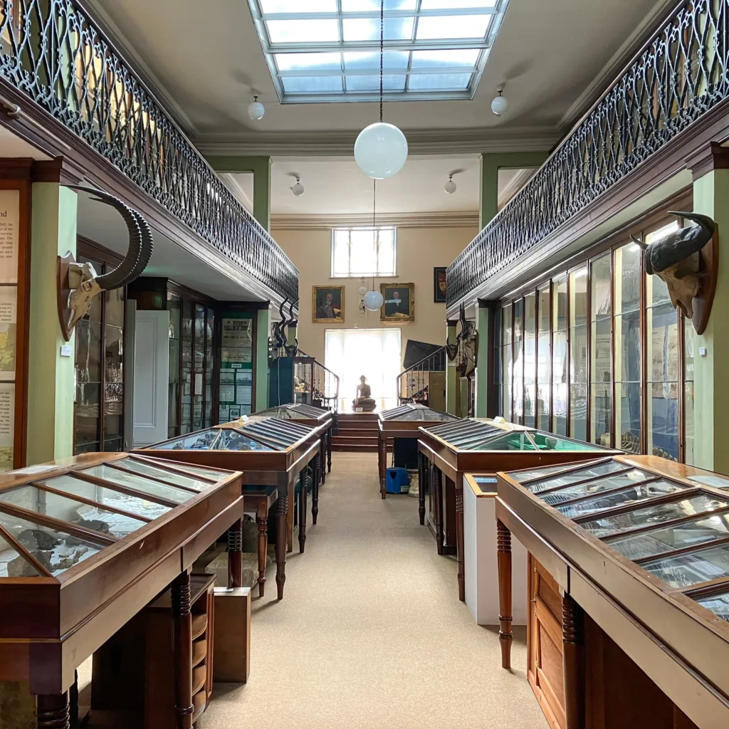 Wisbech and Fenland Museum 