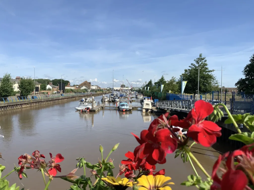 The joy of summer in Wisbech: Caught on camera this week by Wisbech Tweet and showing the array of colourful displays that can be viewed and enjoyed. 