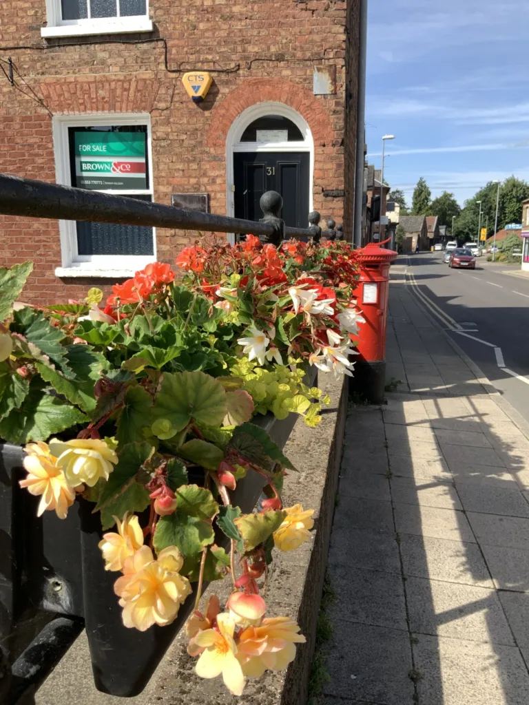 The joy of summer in Wisbech: Caught on camera this week by Wisbech Tweet and showing the array of colourful displays that can be viewed and enjoyed. 