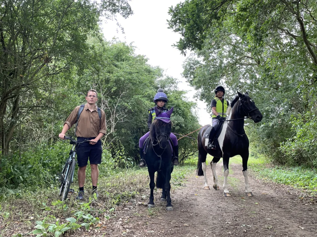 The photos show the works north of Butt Lane and the narrower section south of Butt Lane where trees are already being cleared. Those featured are Tessa Frost of Hall Farm Stables in Waterbeach on Bea and Violet Frost on Moppet. Josh Grantham (brown shirt) is the Infrastructure Campaigner for Camcycle and Gabriel Bienzobas (pictured in the north photo) is a Camcycle trustee and lead of Milton Cycling Campaign. 