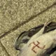 The dead pigeon in High Street, St Neots, with Nazi Swastika, is one of two found in the town in on Tuesday.