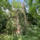 Another headline lot is a vast abandoned Victorian mansion just outside of Longstanton. Following a number of fires at the property, the house has been uninhabited since the 1950s and is offered alongside an additional two acres of land.