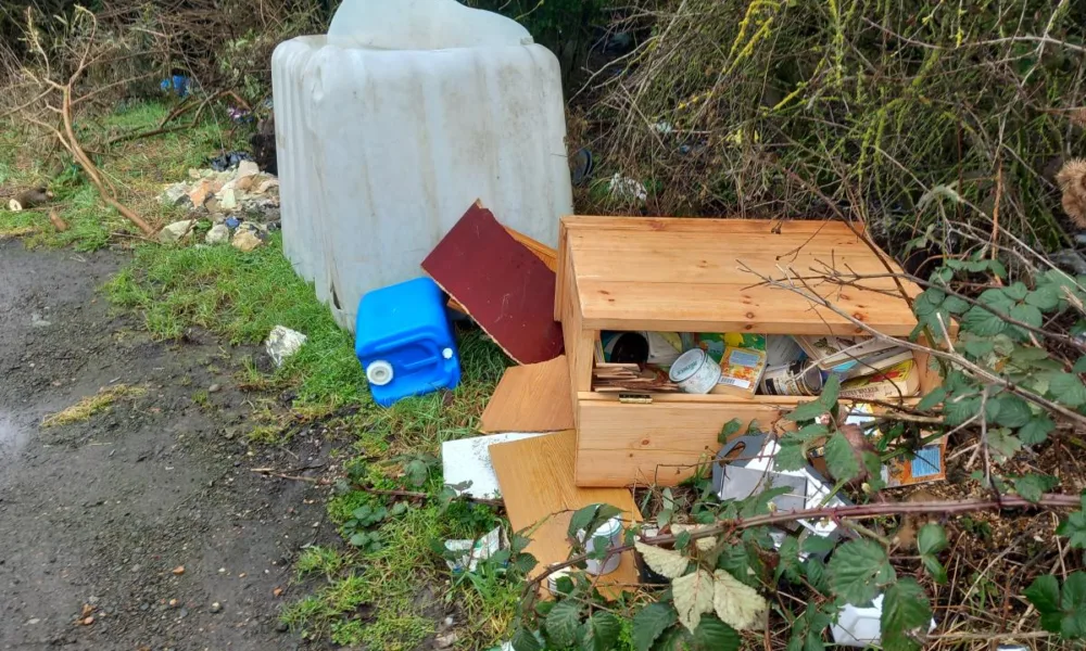 Westland was brought to court after officers from East Cambridgeshire District Council found a wooden cupboard along with other household waste in a layby alongside Pools Road.