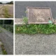 Photos published online include (top left) Great Paxton parish council, (bottom left) Wisbech St Mary parish council and (right) Yaxley parish council. All have written to the county council expressing their concern.