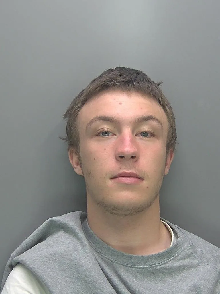 Luke Elmer, of Camborne Drive, Hemel Hempstead, was jailed for three years and two weeks.