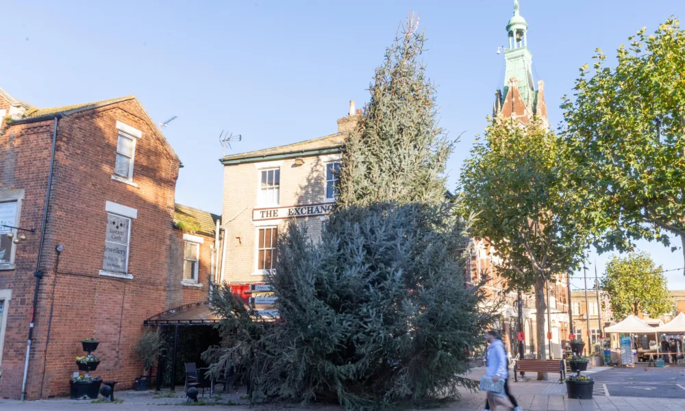 Christmas Tree, Town Centre, March Saturday 11 November 2023. Picture by Terry Harris.