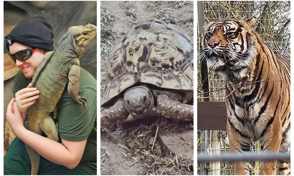 Shepreth Wildlife Park is one of the region’s top tourist attractions. It has a huge of variety of animals and is a great place to visit. PHOTO: Nicky Still