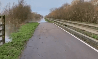 Photos from Cambridgeshire County Council show the maintenance track of the guided busway flooded between Swavesey and St Ives