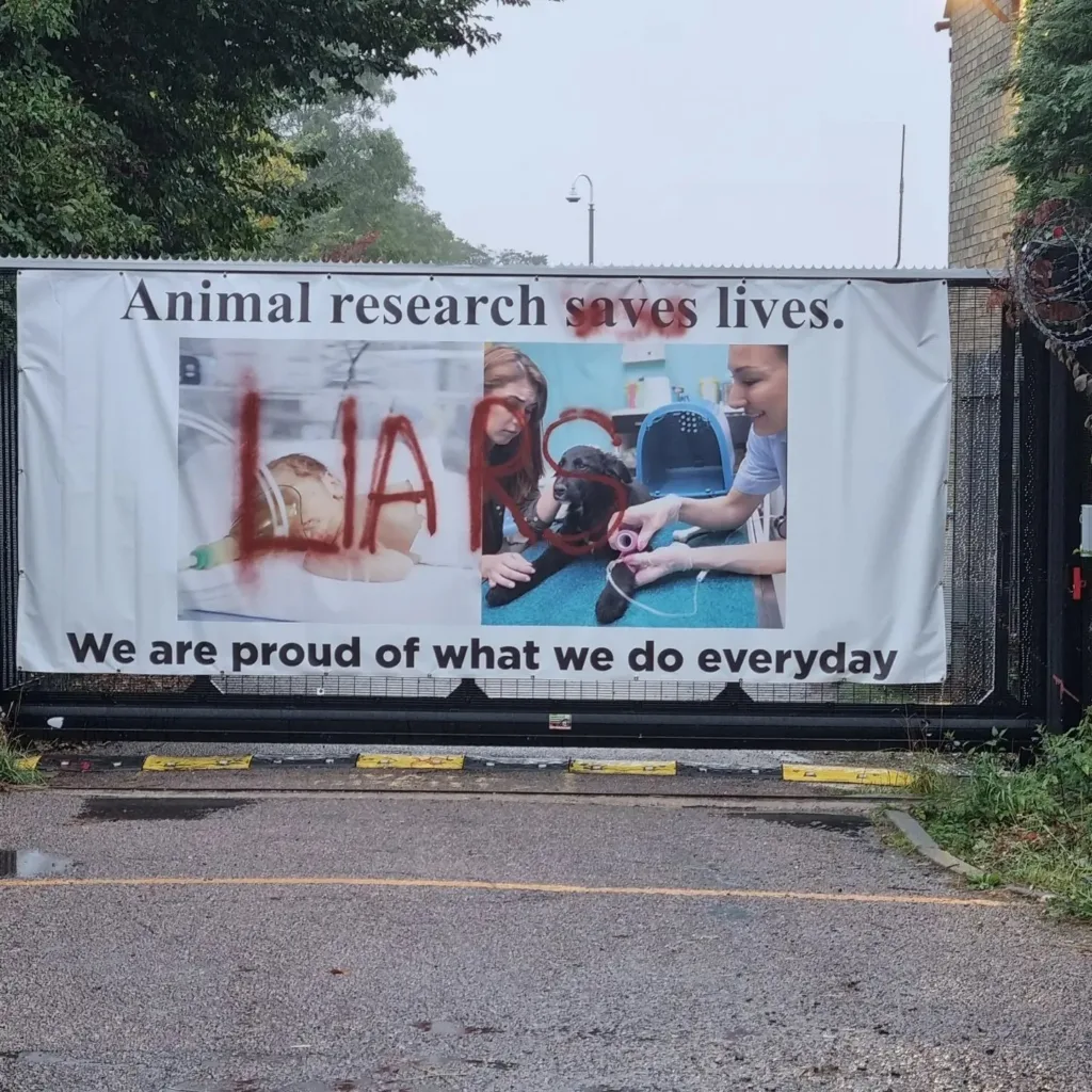 Camp Beagle wishes to close down MBR Acres, a huge beagle breeding factory near Huntingdon, which supplies about 2,000 puppies a year to toxicology testing laboratories across the UK PHOTO: Camp Beagle