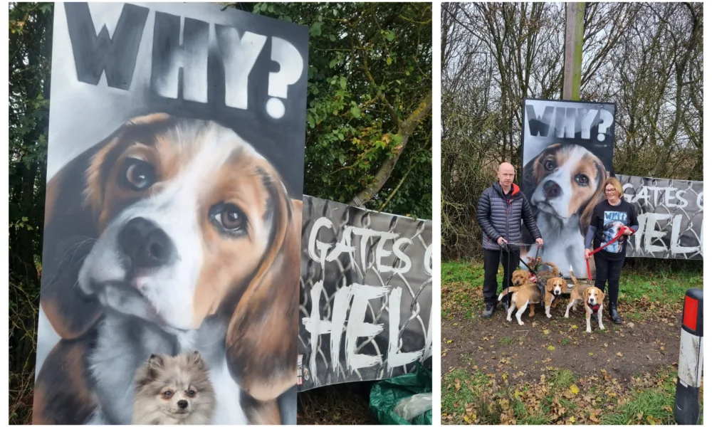 Camp Beagle wishes to close down MBR Acres, a huge beagle breeding factory near Huntingdon, which supplies about 2,000 puppies a year to toxicology testing laboratories across the UK PHOTO: Camp Beagle