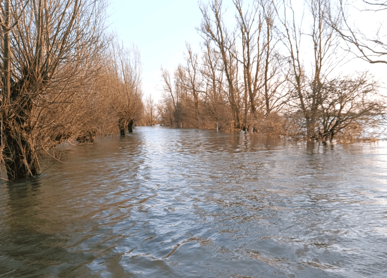 Welney Wash road flooded: Photo, courtesy of Welney Flood Watch, taken on February 11