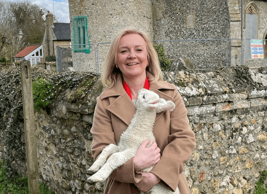 Liz Truss, MP for SW Norfolk, posed outside Beachamwell parish church in her constituency with this lamb in her arms to wish everyone ‘Happy Easter’