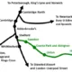 The broad conclusions of the study are that the railway will serve large populations and support the local economy, linking Cambridge with Haverhill and serving principal stops