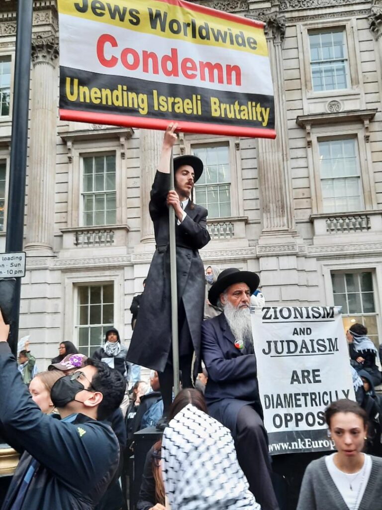 ‘We were a very mixed crowd on the Gaza demonstration. The strongest condemnation came from Hasidic Jews’ says ANGELA SPRINGER who attended Tuesday’s demonstration in London outside the gates of Downing Street