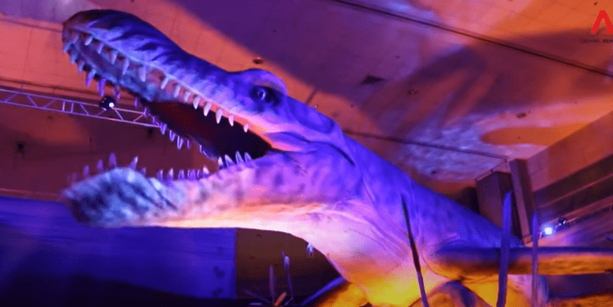 WATCH: 16 life size animatronic sea creatures head to Peterborough Cathedral