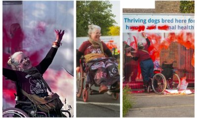 Tímea Kovács, a photographer working on a documentary photo project with Camp Beagle took these photos of Louise Ryan and her wheelchair protest.