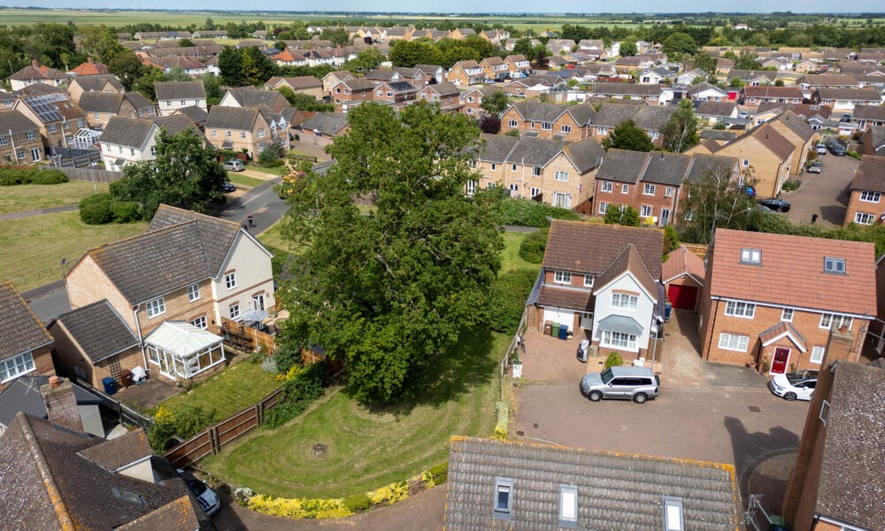 Residents and even the town council fought to persuade Fenland District Council to refuse its own application to fell a 50- to 60-year-old protected oak tree off Bridle Close, Chatteris. PHOTO: Terry Harris