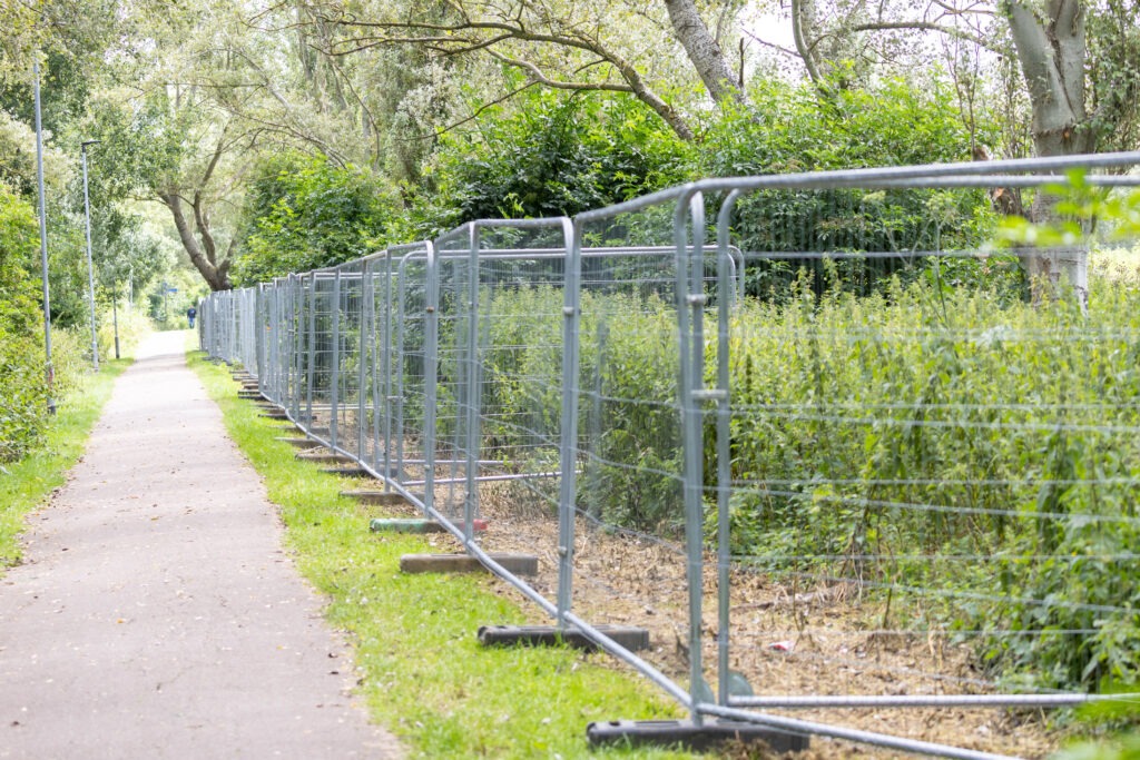 Peterborough City Council told CambsNews: ‘Following the recent identification of poisonous hemlock plants on land at Thorpe Meadows, we have worked to restrict access to this area.’ PHOTO: Terry Harris for CambsNews