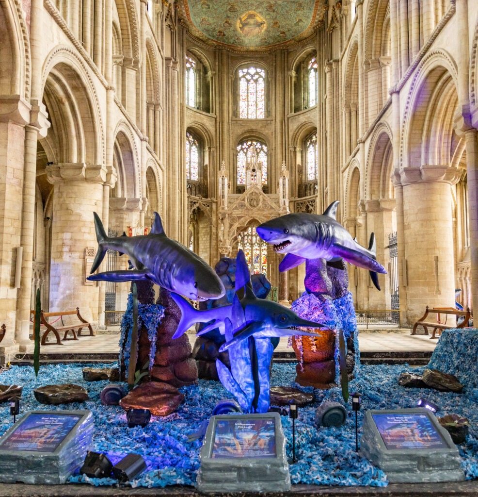 New summer exhibition, 'Monsters of the Sea', Peterborough Cathedral . Monday 15 July 2024. Picture by Terry Harris.