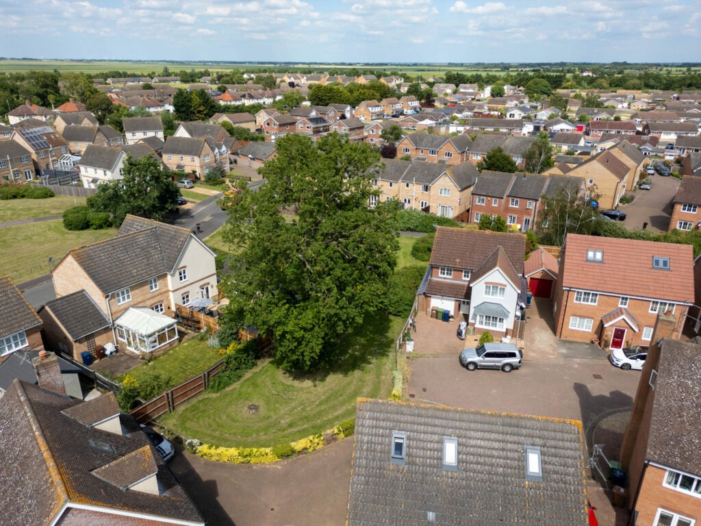 Residents celebrate as Fenland Council refuses to give itself permission to fell historic tree