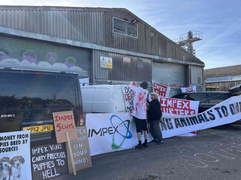 The protest is led by Free the MBR Beagles, which describes itself as a “grassroots animal rights campaign primarily focused on the grubby vivisection industry”.